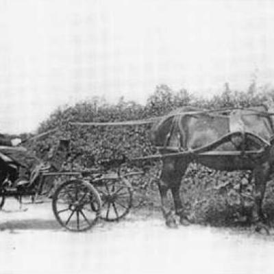 1909 Hugh Bacon Pony Trap