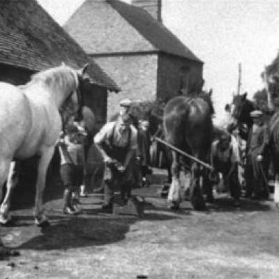 Horses Outside The Smithy At Baxterley
